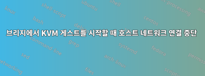 브리지에서 KVM 게스트를 시작할 때 호스트 네트워크 연결 중단