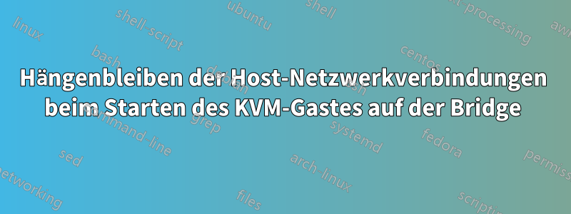 Hängenbleiben der Host-Netzwerkverbindungen beim Starten des KVM-Gastes auf der Bridge