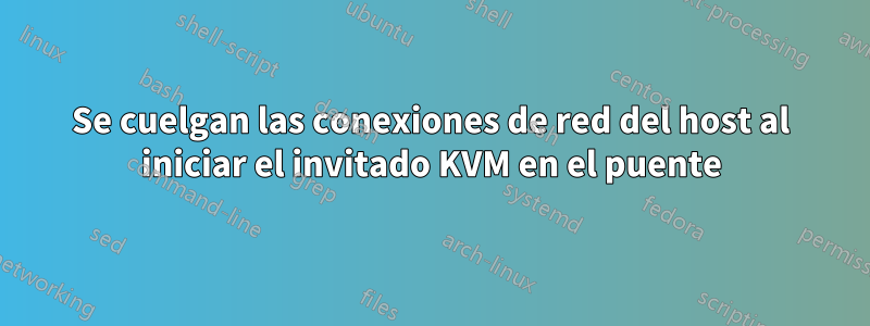 Se cuelgan las conexiones de red del host al iniciar el invitado KVM en el puente