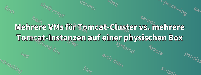 Mehrere VMs für Tomcat-Cluster vs. mehrere Tomcat-Instanzen auf einer physischen Box