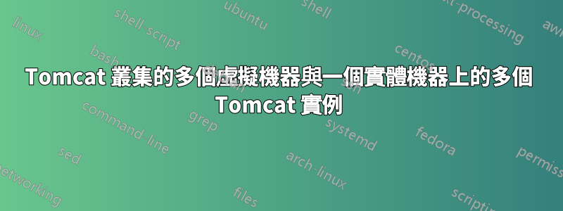 Tomcat 叢集的多個虛擬機器與一個實體機器上的多個 Tomcat 實例