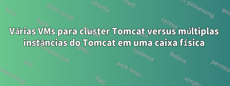 Várias VMs para cluster Tomcat versus múltiplas instâncias do Tomcat em uma caixa física