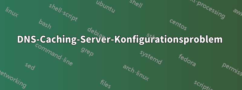 DNS-Caching-Server-Konfigurationsproblem