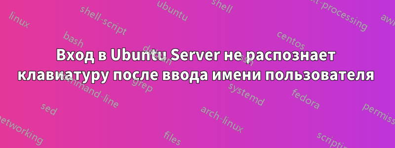 Вход в Ubuntu Server не распознает клавиатуру после ввода имени пользователя