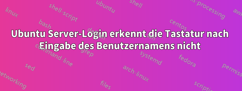 Ubuntu Server-Login erkennt die Tastatur nach Eingabe des Benutzernamens nicht