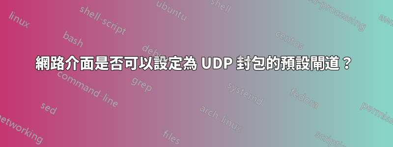 網路介面是否可以設定為 UDP 封包的預設閘道？