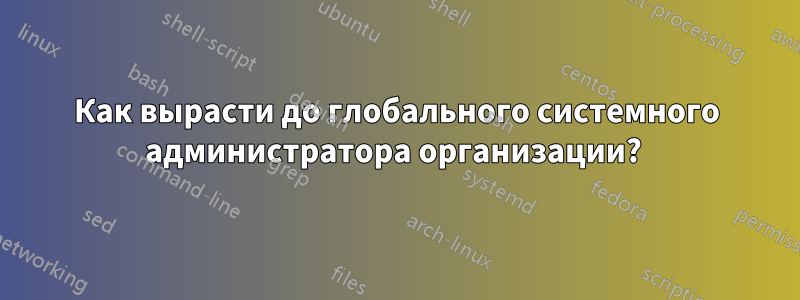 Как вырасти до глобального системного администратора организации? 