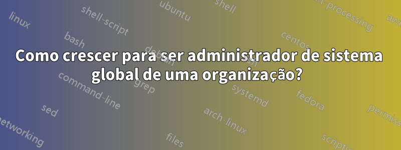 Como crescer para ser administrador de sistema global de uma organização? 