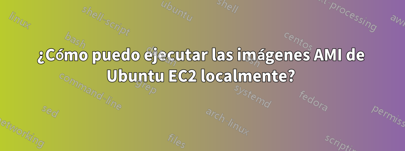 ¿Cómo puedo ejecutar las imágenes AMI de Ubuntu EC2 localmente?