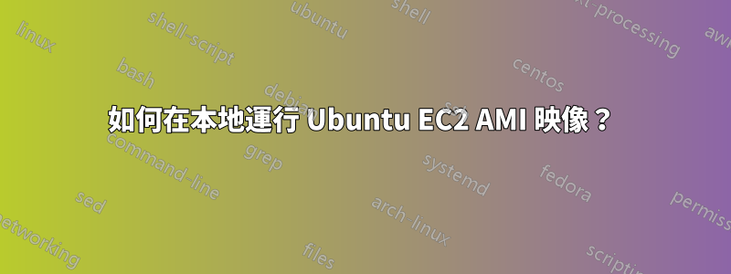 如何在本地運行 Ubuntu EC2 AMI 映像？