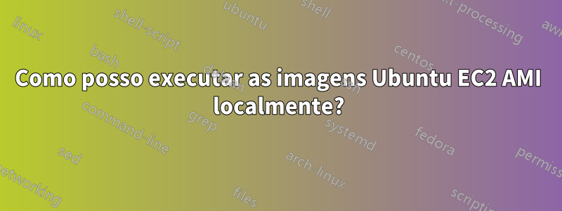 Como posso executar as imagens Ubuntu EC2 AMI localmente?