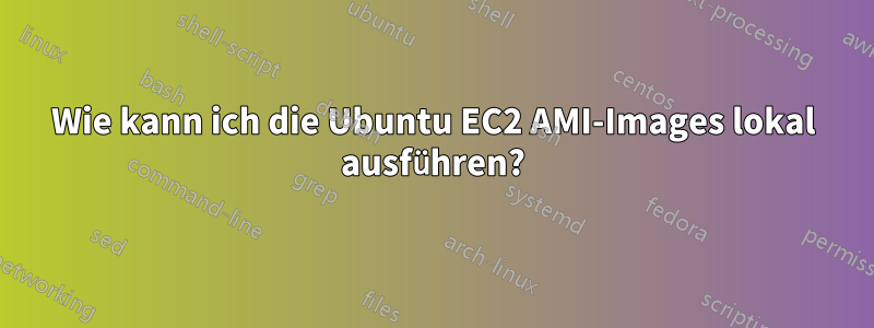 Wie kann ich die Ubuntu EC2 AMI-Images lokal ausführen?