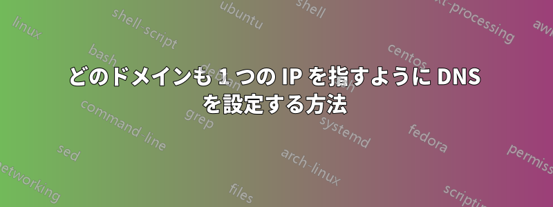 どのドメインも 1 つの IP を指すように DNS を設定する方法