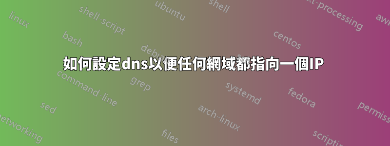 如何設定dns以便任何網域都指向一個IP