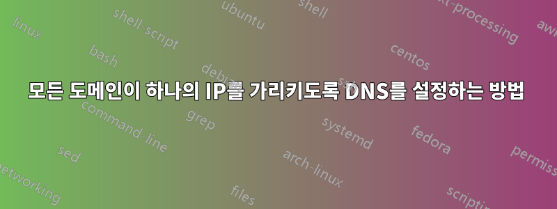 모든 도메인이 하나의 IP를 가리키도록 DNS를 설정하는 방법