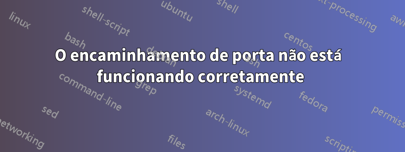 O encaminhamento de porta não está funcionando corretamente