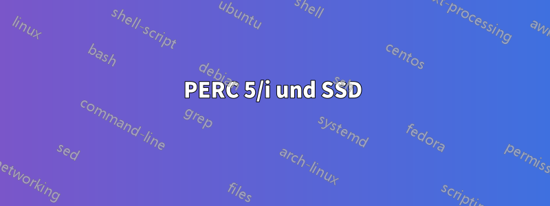 PERC 5/i und SSD