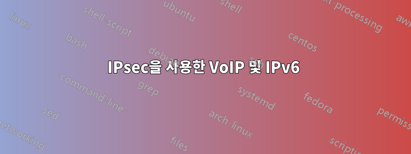 IPsec을 사용한 VoIP 및 IPv6