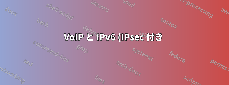 VoIP と IPv6 (IPsec 付き)