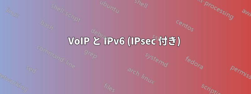 VoIP と IPv6 (IPsec 付き)