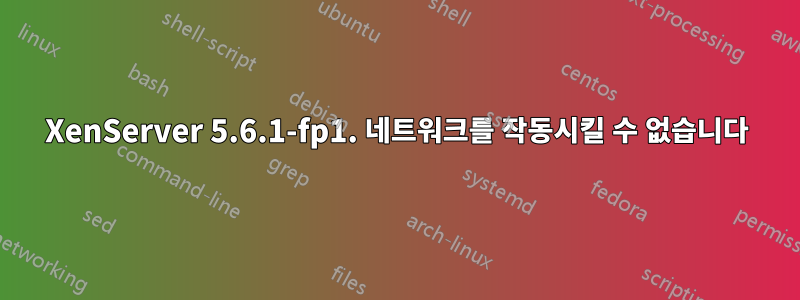 XenServer 5.6.1-fp1. 네트워크를 작동시킬 수 없습니다
