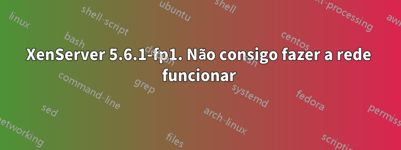 XenServer 5.6.1-fp1. Não consigo fazer a rede funcionar