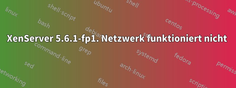 XenServer 5.6.1-fp1. Netzwerk funktioniert nicht