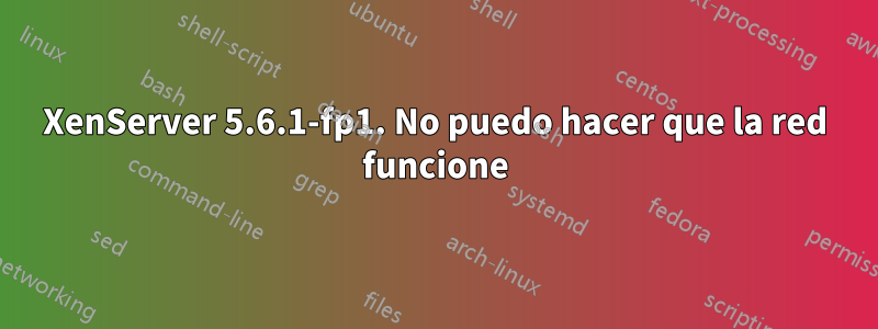 XenServer 5.6.1-fp1. No puedo hacer que la red funcione