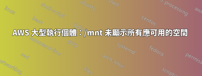 AWS 大型執行個體：/mnt 未顯示所有應可用的空間