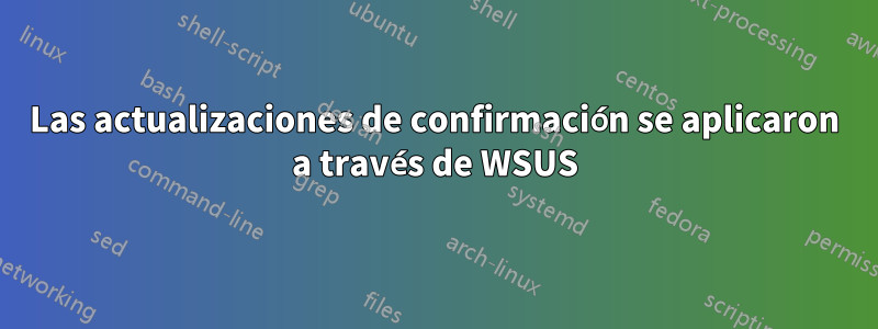 Las actualizaciones de confirmación se aplicaron a través de WSUS