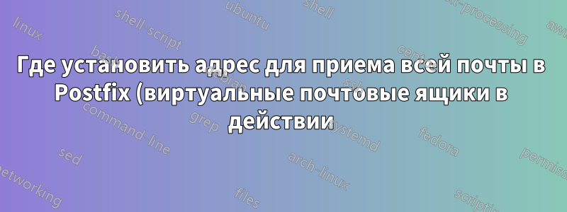 Где установить адрес для приема всей почты в Postfix (виртуальные почтовые ящики в действии)