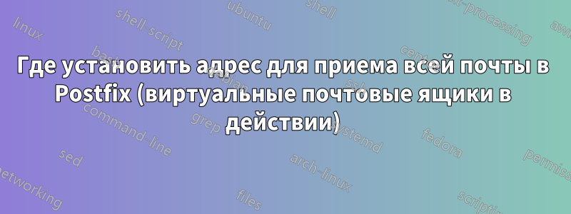 Где установить адрес для приема всей почты в Postfix (виртуальные почтовые ящики в действии)