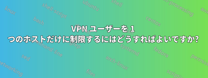 VPN ユーザーを 1 つのホストだけに制限するにはどうすればよいですか?