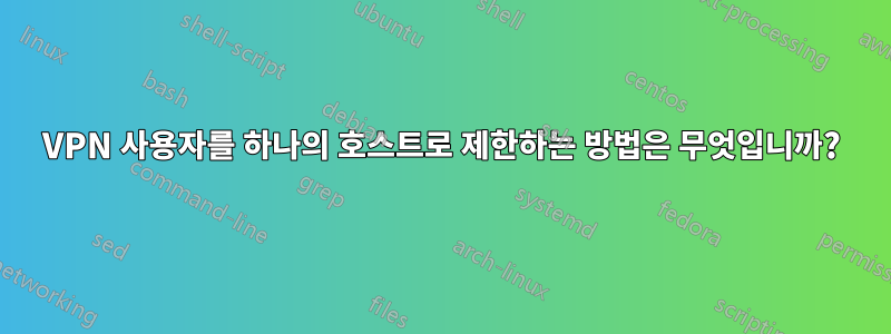 VPN 사용자를 하나의 호스트로 제한하는 방법은 무엇입니까?