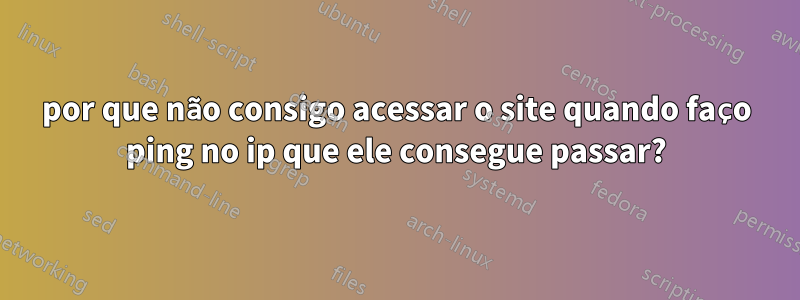 por que não consigo acessar o site quando faço ping no ip que ele consegue passar?