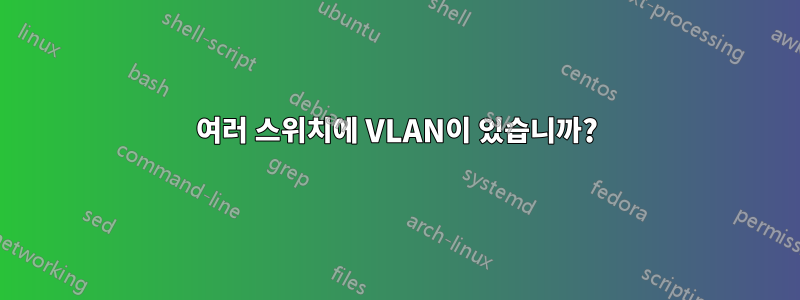 여러 스위치에 VLAN이 있습니까?