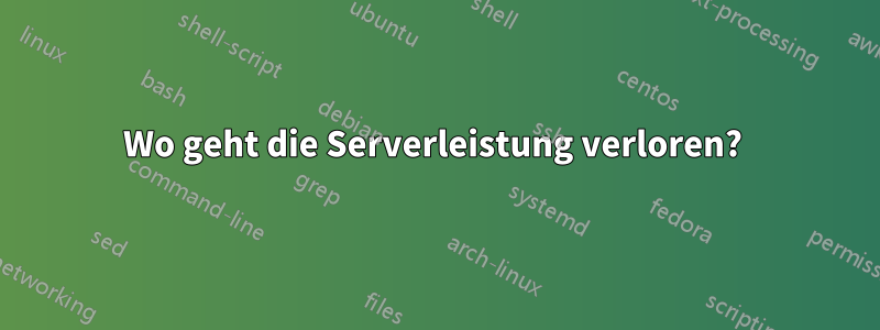 Wo geht die Serverleistung verloren? 