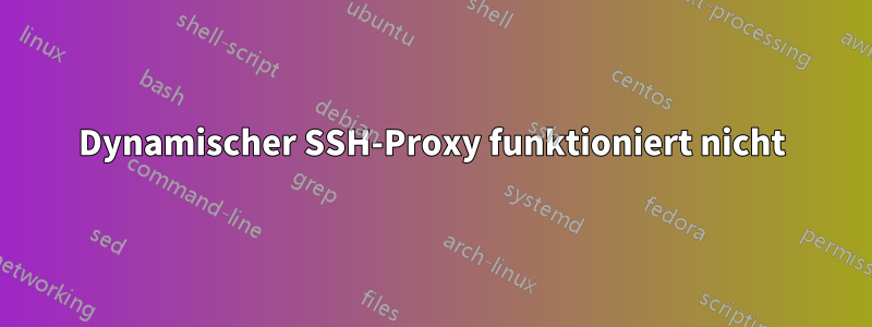 Dynamischer SSH-Proxy funktioniert nicht