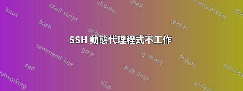 SSH 動態代理程式不工作