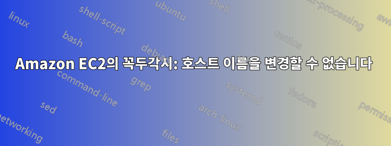 Amazon EC2의 꼭두각시: 호스트 이름을 변경할 수 없습니다