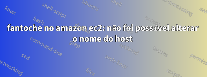 fantoche no amazon ec2: não foi possível alterar o nome do host