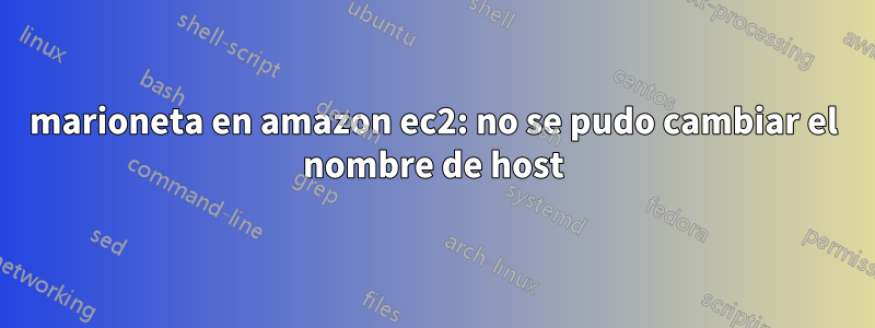 marioneta en amazon ec2: no se pudo cambiar el nombre de host