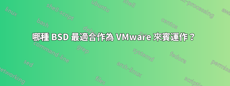 哪種 BSD 最適合作為 VMware 來賓運作？