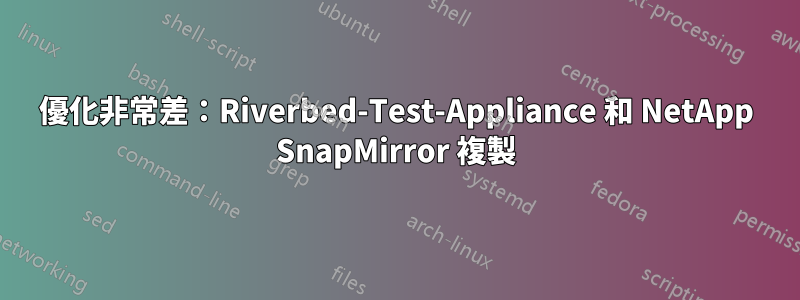 優化非常差：Riverbed-Test-Appliance 和 NetApp SnapMirror 複製