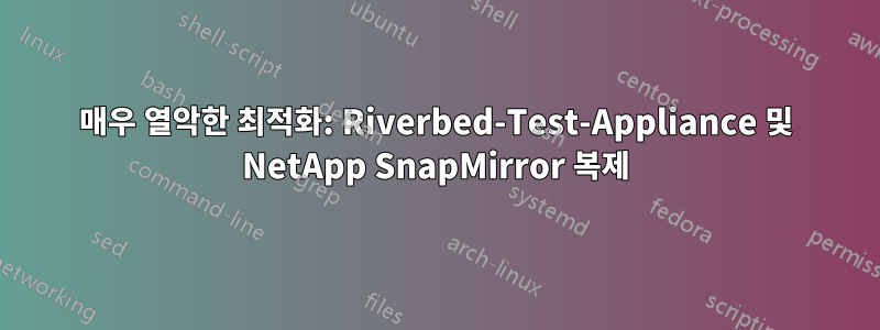 매우 열악한 최적화: Riverbed-Test-Appliance 및 NetApp SnapMirror 복제