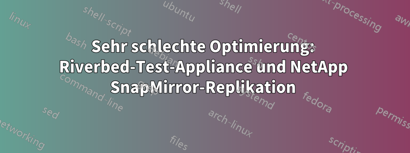 Sehr schlechte Optimierung: Riverbed-Test-Appliance und NetApp SnapMirror-Replikation