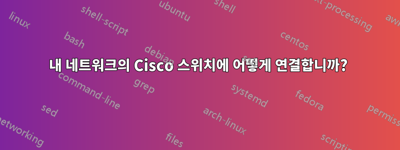 내 네트워크의 Cisco 스위치에 어떻게 연결합니까?