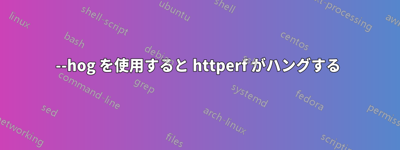 --hog を使用すると httperf がハングする