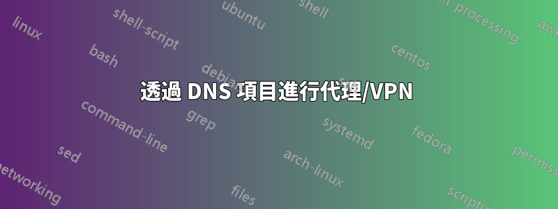 透過 DNS 項目進行代理/VPN