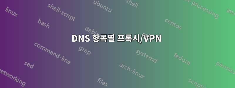 DNS 항목별 프록시/VPN